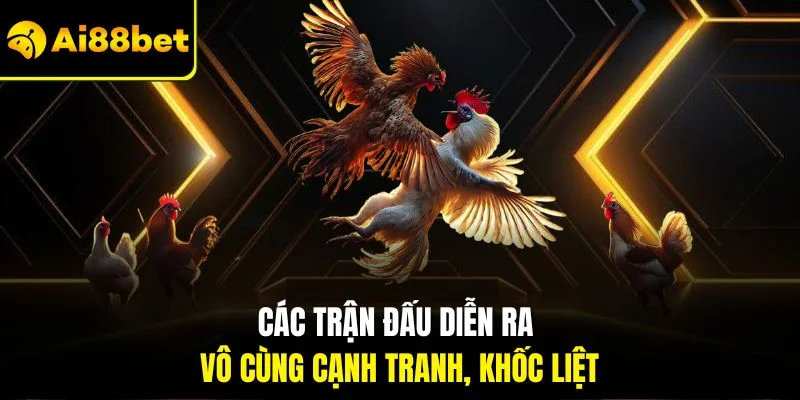 Đá Gà Cựa Dao | Quy Tắc Chơi Với Yếu Tố Thu Hút Tại AI88BET 4 Các trận đấu diễn ra vô cùng cạnh tranh, khốc liệt