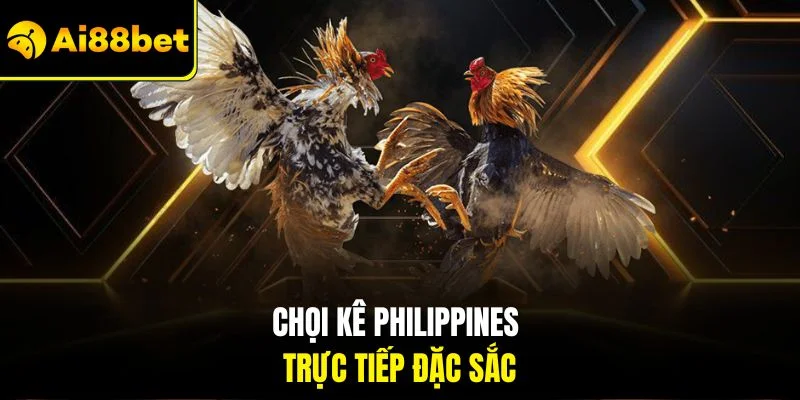 Đá Gà Philippines | Hình Thức Chọi Kê Kinh Điển Tại AI88BET 2 Chọi kê Philippines trực tiếp đặc sắc