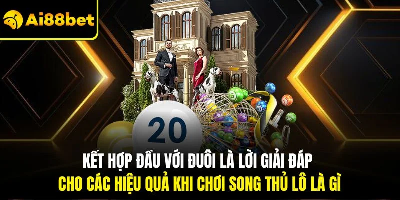 Song Thủ Lô Là Gì? Hướng Dẫn Cách Dự Thưởng Hiệu Quả Nhất 4 Kết hợp đầu với đuôi là lời giải đáp cho các hiệu quả khi chơi song thủ lô là gì
