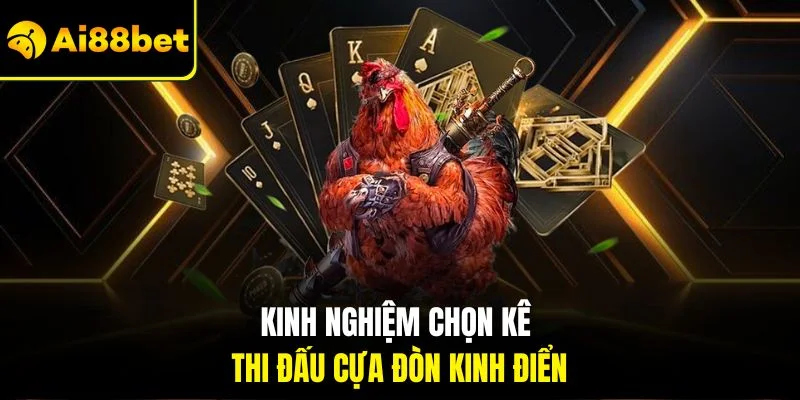 Đá Gà Cựa Đòn | Kinh Nghiệm Bắt Kèo Chuẩn AI88BET 4 Kinh nghiệm chọn kê thi đấu cựa đòn kinh điển