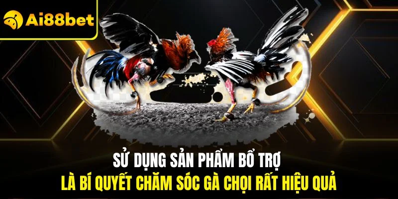 Bí Quyết Chăm Sóc Gà Chọi| Chỉ Dẫn Cách Huấn Luyện Hiệu Quả 3 Sử dụng sản phẩm bổ trợ là bí quyết chăm sóc gà chọi rất hiệu quả