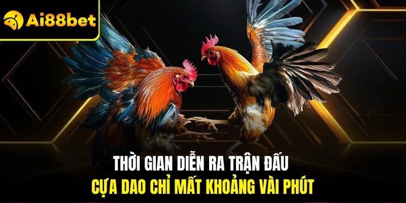 Đá Gà Cựa Dao | Quy Tắc Chơi Với Yếu Tố Thu Hút Tại AI88BET 3 Thời gian diễn ra trận đấu cựa dao chỉ mất khoảng vài phút