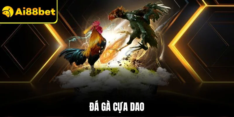 Đá Gà Cựa Dao | Quy Tắc Chơi Với Yếu Tố Thu Hút Tại AI88BET 1 Đá gà cựa dao
