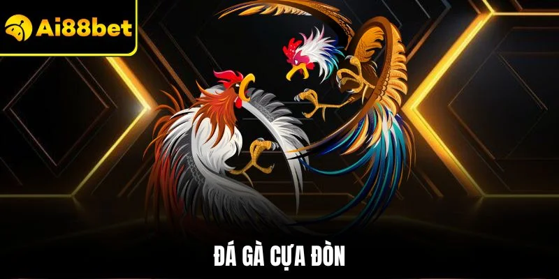 Đá Gà Cựa Đòn | Kinh Nghiệm Bắt Kèo Chuẩn AI88BET 1 Đá gà cựa đòn